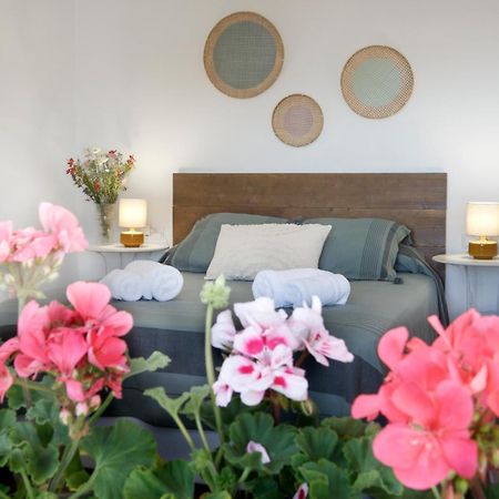 Apartamento Turistico Ana Arroniz Eksteriør bilde